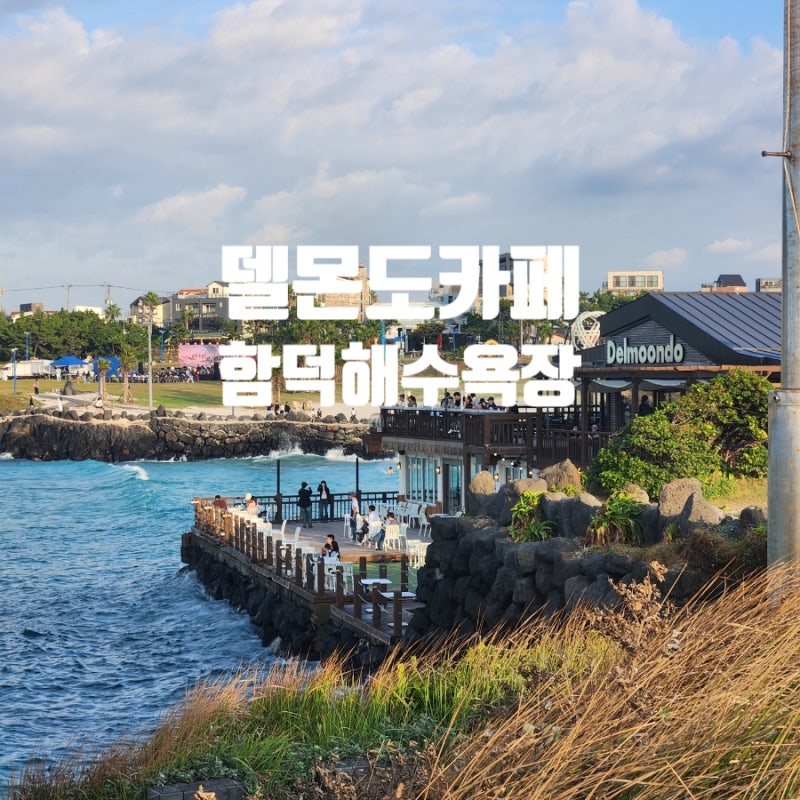 제주 핫플 함덕 델문도 카페