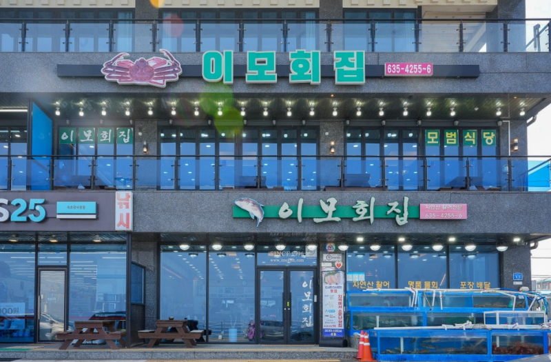 속초맛집 속초맛집추천 속초장사항맛집 이모회집에서 모둠회 2인 먹고 왔어요