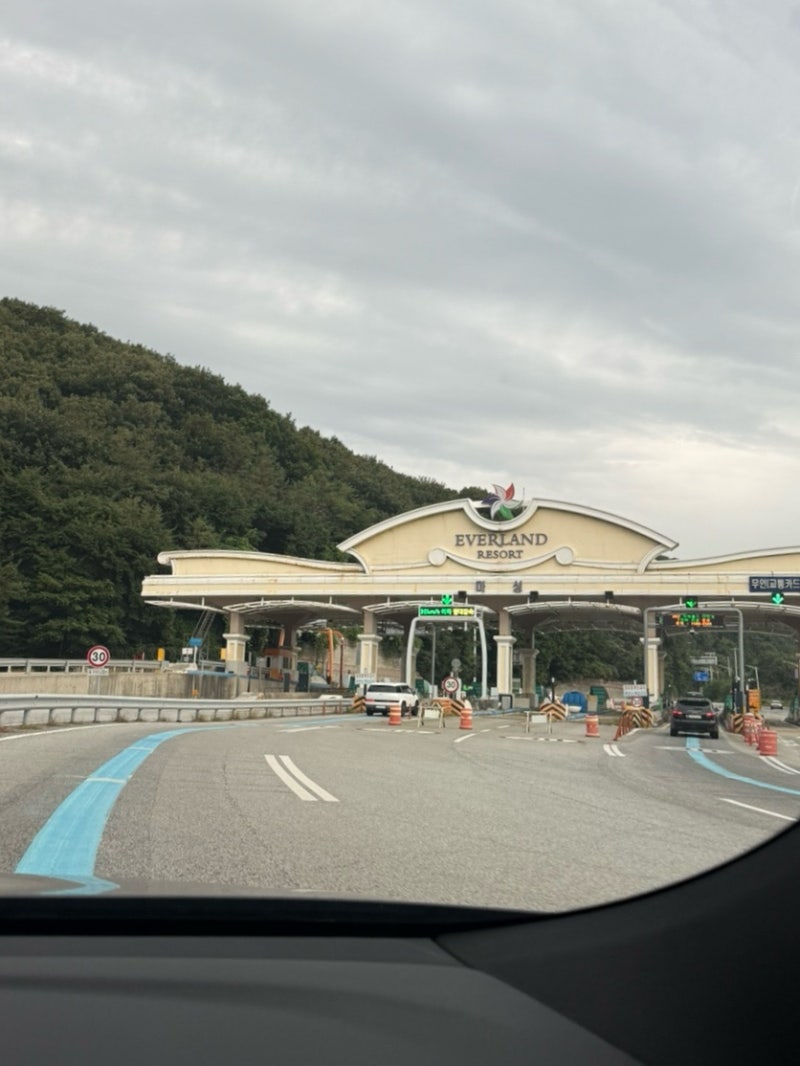 에버랜드 주말 방문 후기｜오전 9시 도착부터 워킹사파리·아마존·아이 놀이기구 동선 & 주....