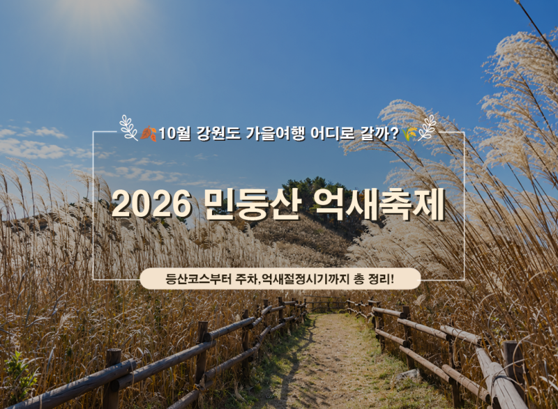 2026 정선 민둥산 억새축제｜10월 국내여행지 추천·가는법·등산코스·주차 총정리