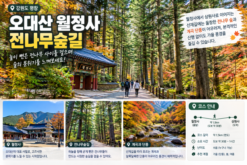 [ 가을철 가족과 함께 즐기는 강원도 지역 드라이브 코스 ]