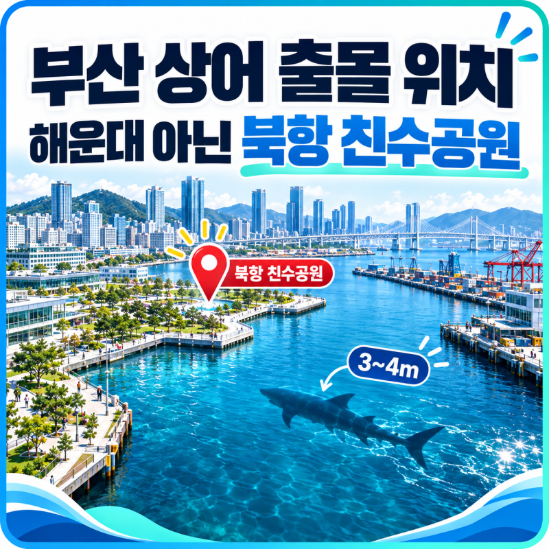 부산 상어 출몰 위치 어디? 아이와 보러 가도 될까, 북항 친수공원 상황 정리