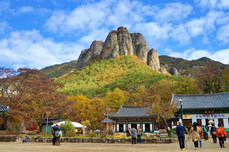 정상 안 갔는데 주왕산 절정은 다 봤다? 왕복 90분 용추협곡 잔도길