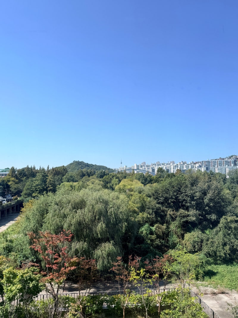 성동구민이라면 꼭 가봐야 할 수영장｜서울숲복합문화체육센터 자유수영 예약·시간·주차 ....