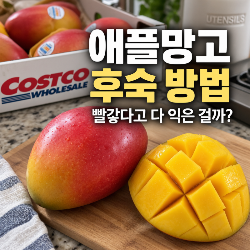 애플망고 후숙 방법, 빨갛다고 다 익은 걸까? 먹는 시기·보관법