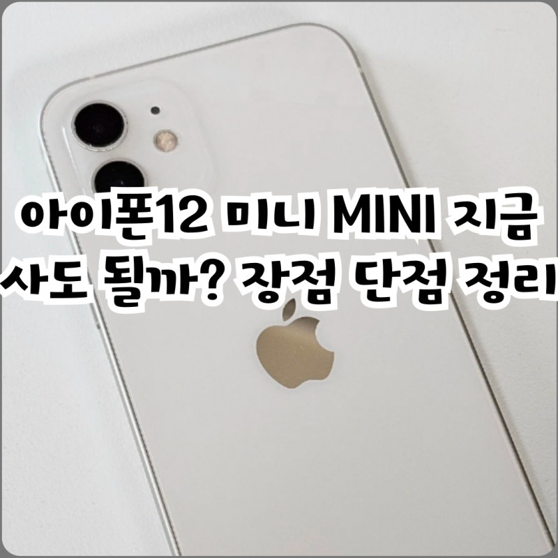 아이폰12 미니 MINI 지금 사도 될까? 장점 단점 정리