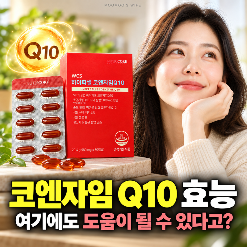 코엔자임 Q10이란? 코엔자임 Q10 효능 및 고르는법