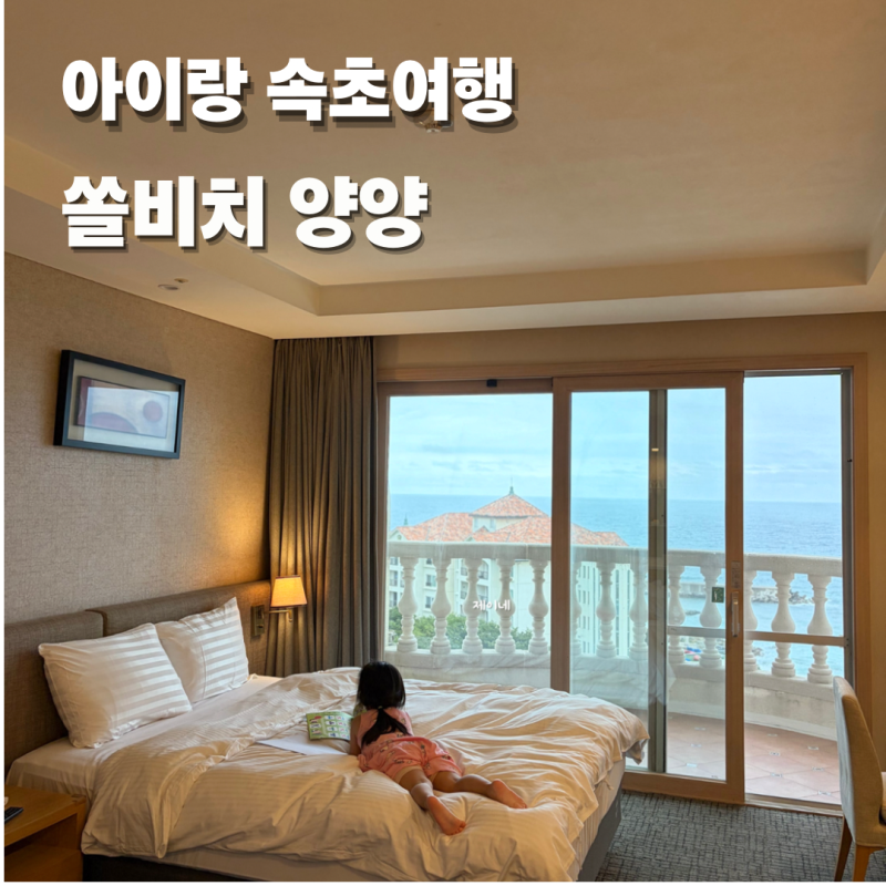 속초 여행 매년 재방문하는 쏠비치 양양 호텔 객실 후기 부대시설 추천 후기