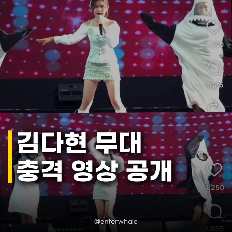 김다현 무대 공개, 여론 반전 심수봉 발언 이해된다는 반응 쏟아지는 이유