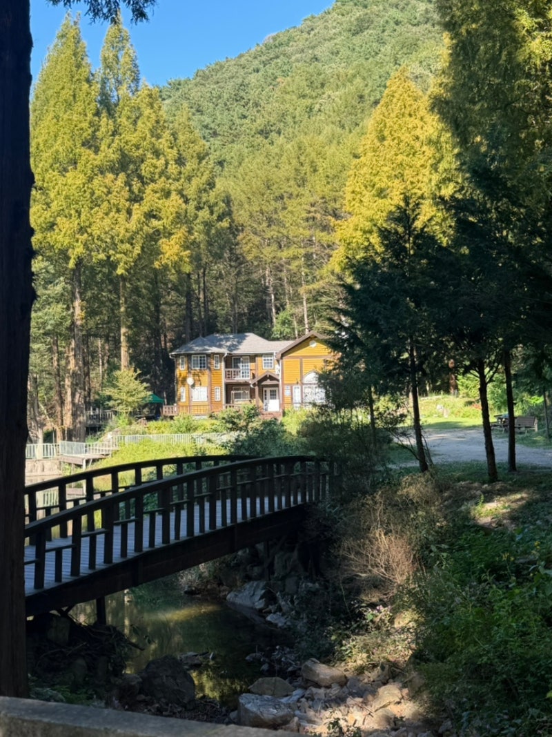 Nonsan Onbit Natural Recreation Forest: Great for Driving and Walking Near Daejeon