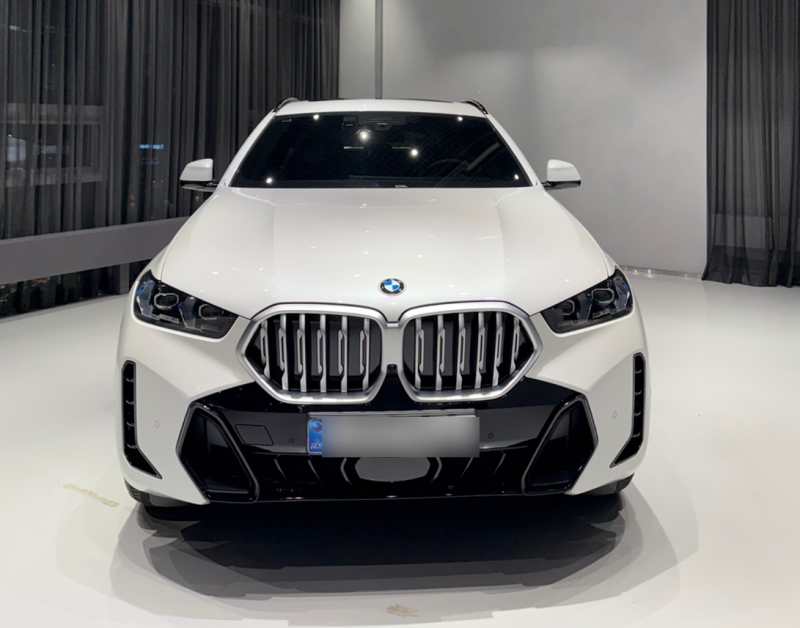 BMW X6 xDrive 40i 공간, 주행성능, 실물 사진 살펴보기