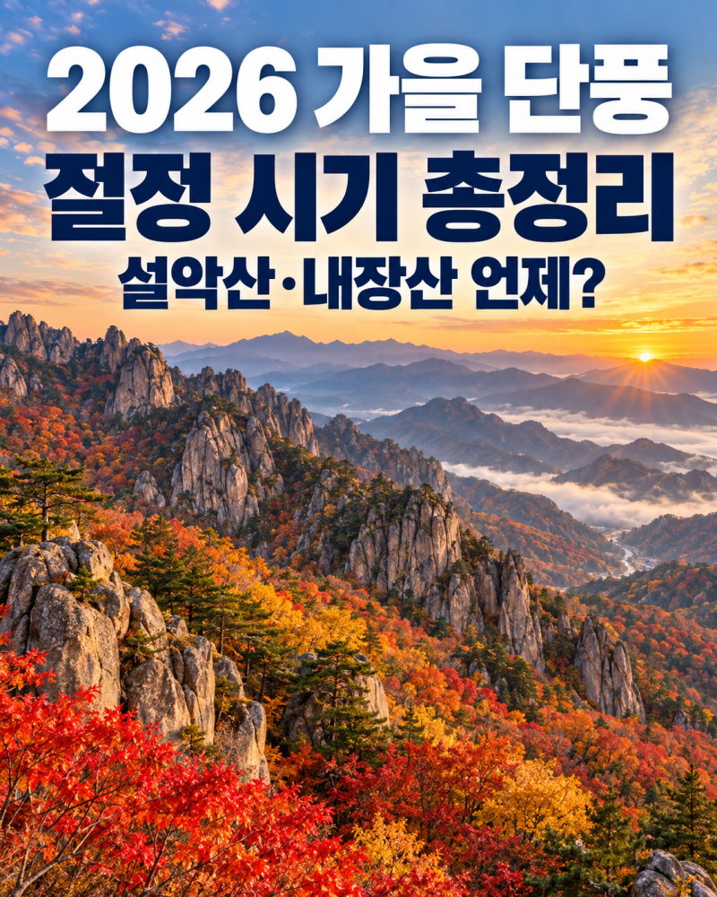 2026 가을 단풍 절정 시기 총정리｜설악산·내장산 언제 가야 할까? 전국 단풍 명소 추천