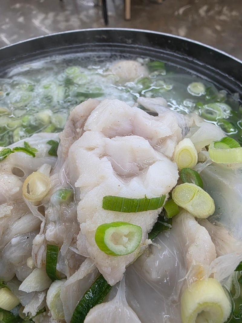 속초동명항맛집 물곰탕 조림 생선구이 별주부네물곰탕