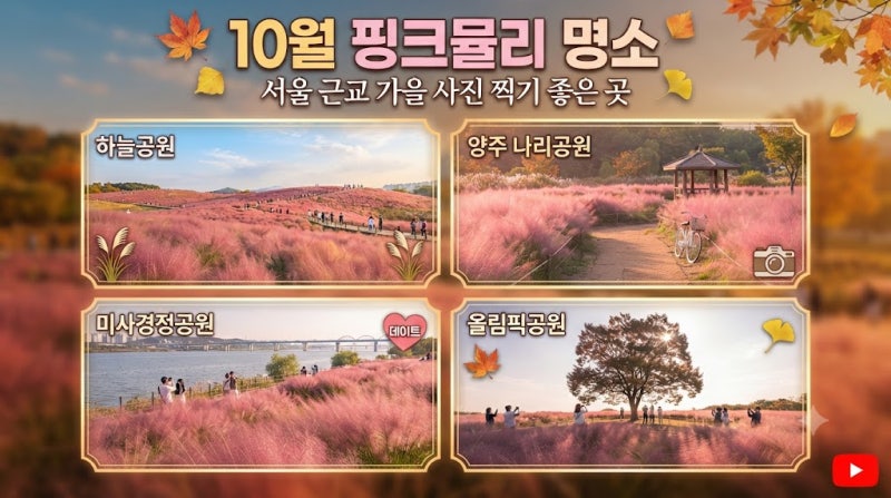 10월 핑크뮬리 명소, 서울 근교 사진 찍기 좋은 곳 추천 총정리