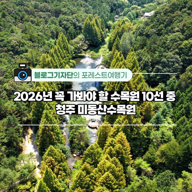 2026년 꼭 가봐야 할 수목원 10선 중 청주 미동산수목원