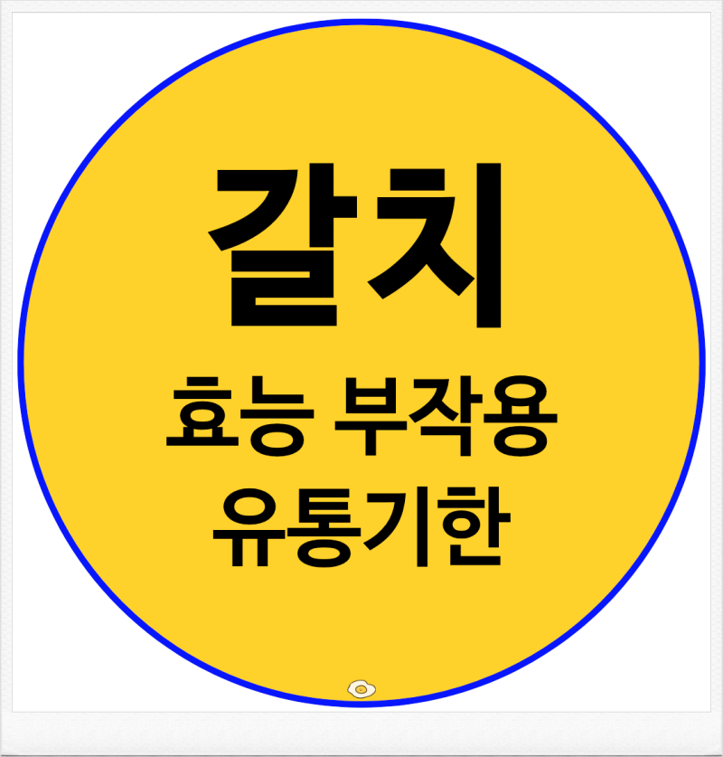 갈치 유통기한 얼마나 될까? 효능 부작용 손질법 보관법 정리