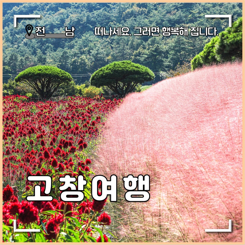 고창 가볼만한곳 핑크뮬리 축제 코스