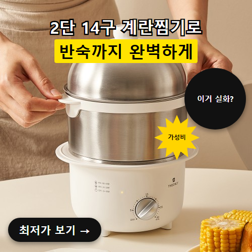 디온리 올스텐 계란찜기 14구, 35800원이면 진짜 잘 산 걸까요