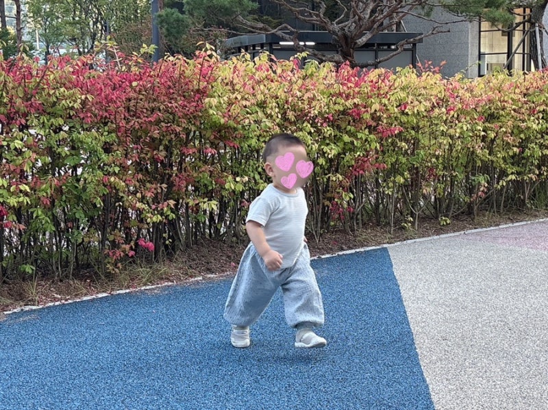 [D+531,532,533] 밥태기인줄 알았는데... 장염이었던 건에 대하여 ^^.... - 17개월 아기 장염, 레스큐....