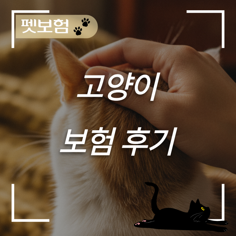 나이와 질환 유무에 따른 고양이 보험 가입 조건 및 보장률 차이점