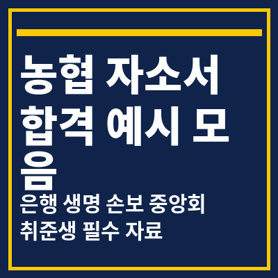 농협은행 생명 손보 중앙회 자소서 합격