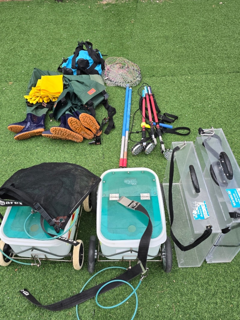 [태안 여행] 태안 해루질 가능한 바다는보이고펜션 추천부터 꽃지해수욕장 조개, 고둥 수확 ....