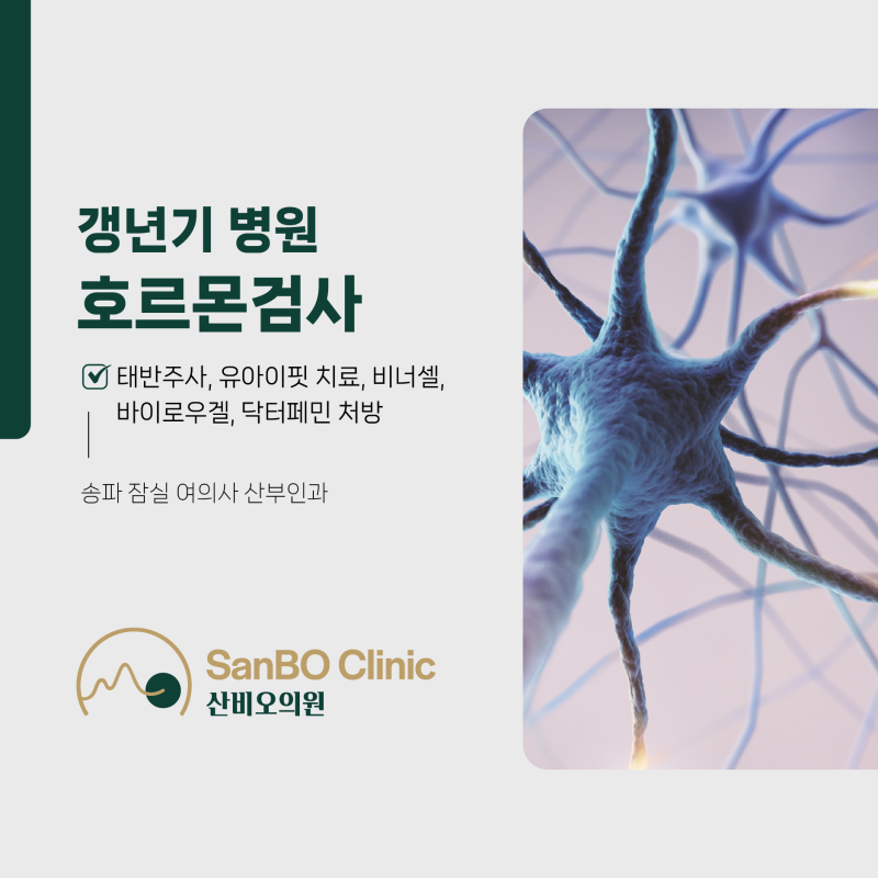 송파 잠실 갱년기 병원 (여의사 산부인과) 호르몬검사, 태반주사, 유아이핏 치료, 비너셀 질....