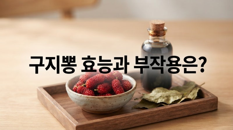 구지뽕(꾸지뽕) 열매, 잎 효능과 부작용, 제대로 알고 먹는 법