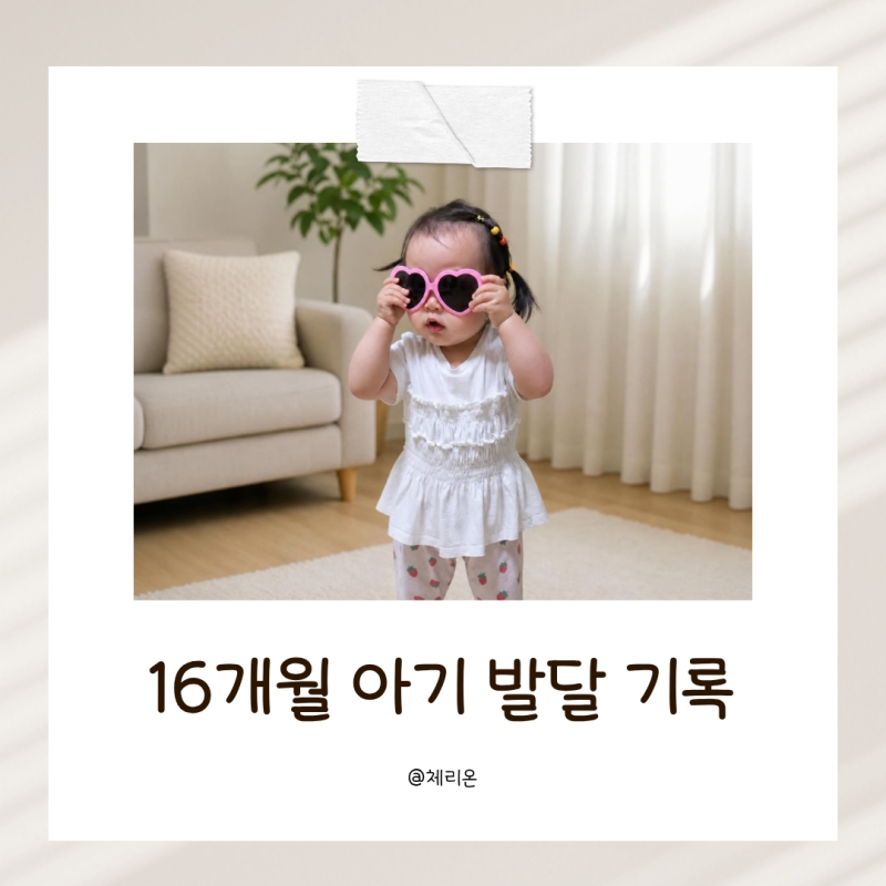 16개월 아기 발달 기록 총정리 (언어 인지 모방 놀이 사회성)