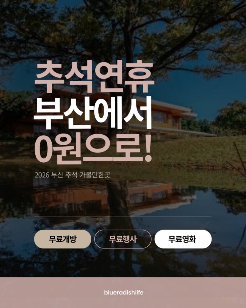 추석에 부산 여기 가면 0원! 무료개방·무료행사 총정리