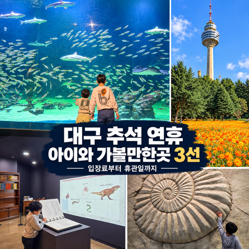 대구 추석 연휴 아이와 가볼만한곳 3선(이월드,아쿠아리움,화석박물관) 입장료부터 휴관일까....