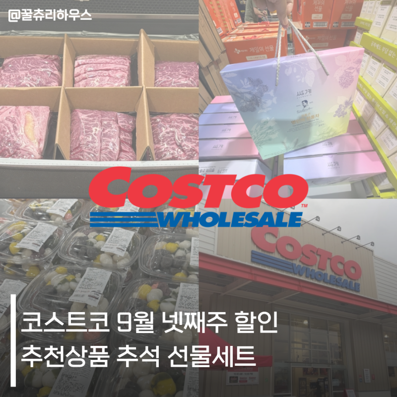 코스트코 9월 넷째주 할인 추천상품 선물세트 추석 장보기 리스트