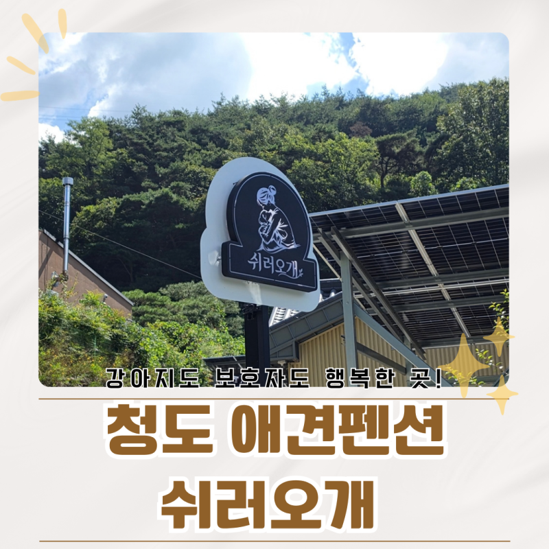 청도 애견펜션 추천 쉬러오개 작은집 솔직 후기, 넓은 마당이 최고에요