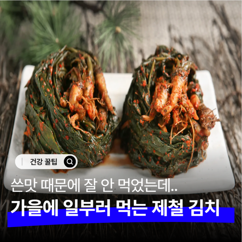 "쓰다고 고들빼기김치 안 먹었는데.." 효능 알고 나니 지금이 제철이라 너무 다행