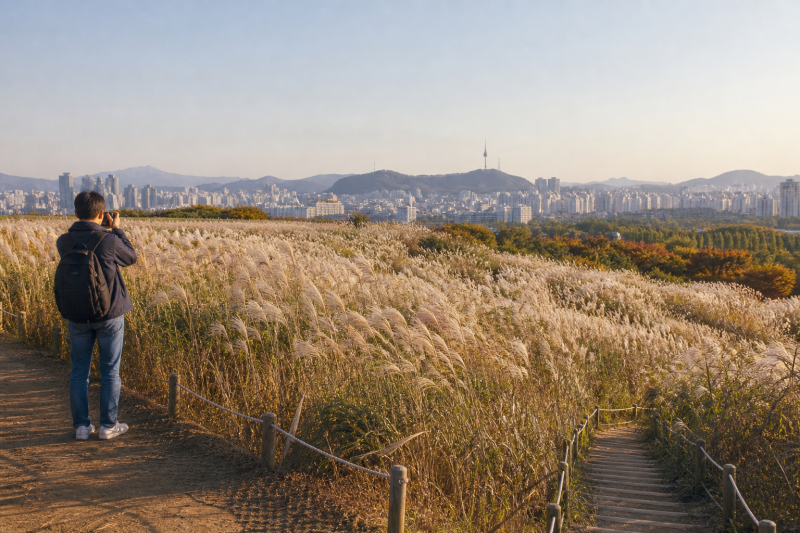 상암 하늘공원 사진찍기 좋은곳 촬영 명소
