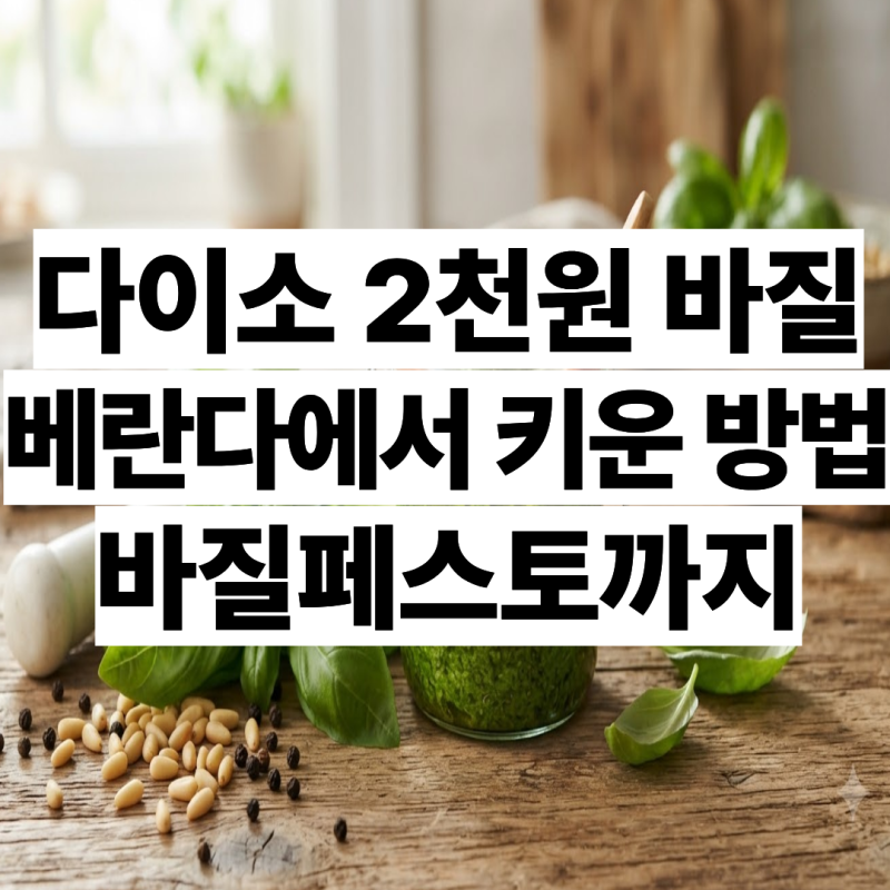 구축베란다에서 바질 키우기ㅣ다이소 바질ㅣ바질페스토 대성공 후기