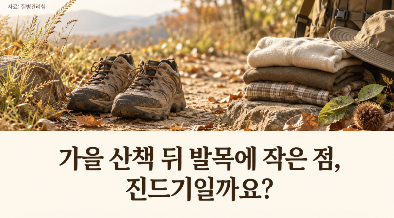 “진드기에 물린자국?” 집먼지 침대 진드기 물린자국 원인 치료 방역방법과 진짜 진실