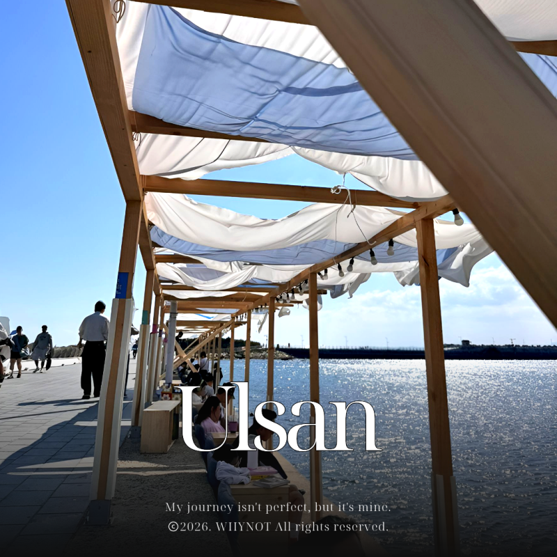 Ulsan Seuldo Outdoor Library: Picnic, Parking, and a Warm Review of a Weekend Outing (Seuldok)