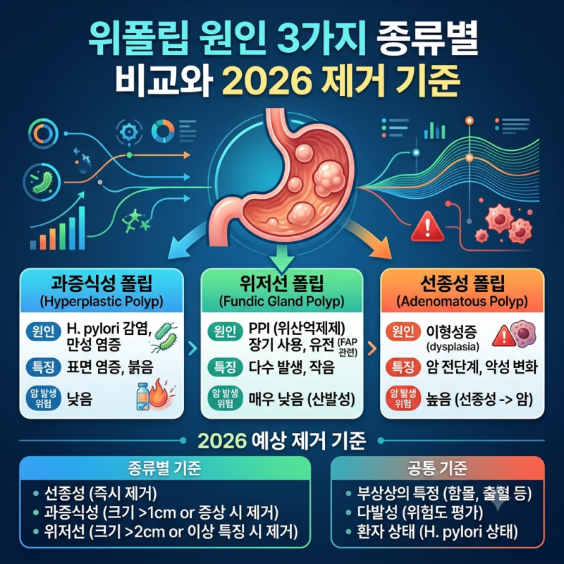 위폴립 원인 3가지 종류별 비교와 2026 제거 기준