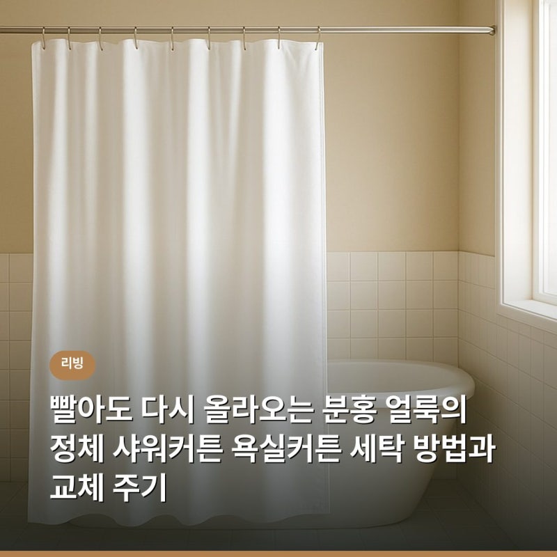 빨아도 다시 올라오는 분홍 얼룩의 정체 샤워커튼 욕실커튼 세탁 방법과 교체 주기