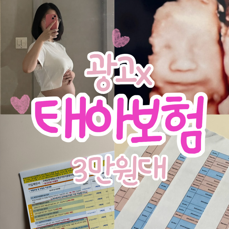 태아보험 다이렉트 실비 (삼성화재 + 현대해상 종합) 내돈내산 3만원대 조합