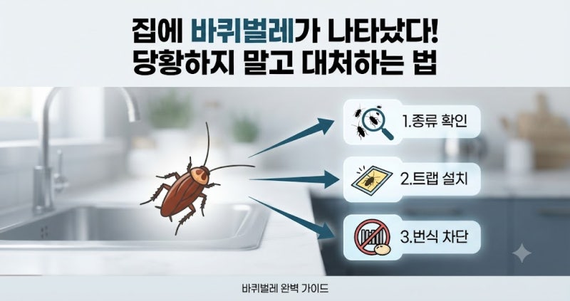 집에 갑자기 바퀴벌레가 나왔을 때 대처법과 번식 차단 방법