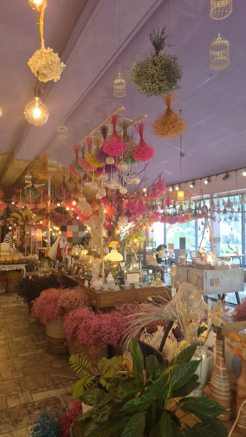 Chungnam Boryeong Daecheon 1 Night 2 Day Trip: Gaehwa Art Park and Sky Bike, Great for Dates