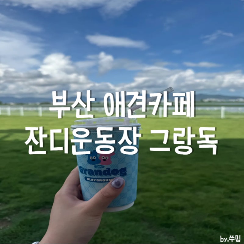 부산 강서구 애견카페 그랑독ㅣ넓은 천연잔디 운동장에 낙동강뷰까지