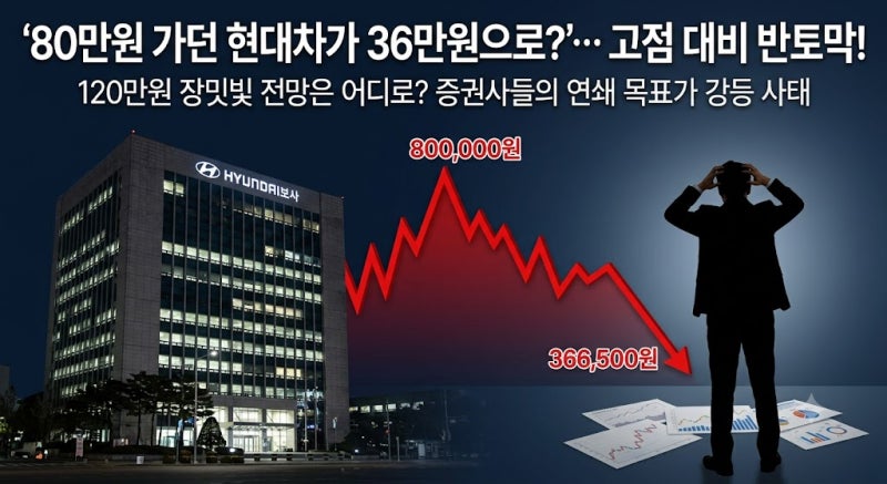 "80만원 가던 현대차가 36만원으로 반토막?"… 증권사 목표가 줄하향, 지금 물타기 해도 될까?