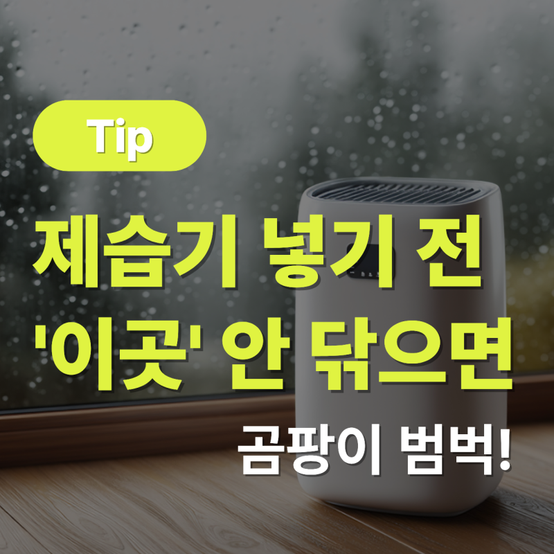 제습기 넣기 전 '이곳' 안 닦으면 곰팡이 범벅!