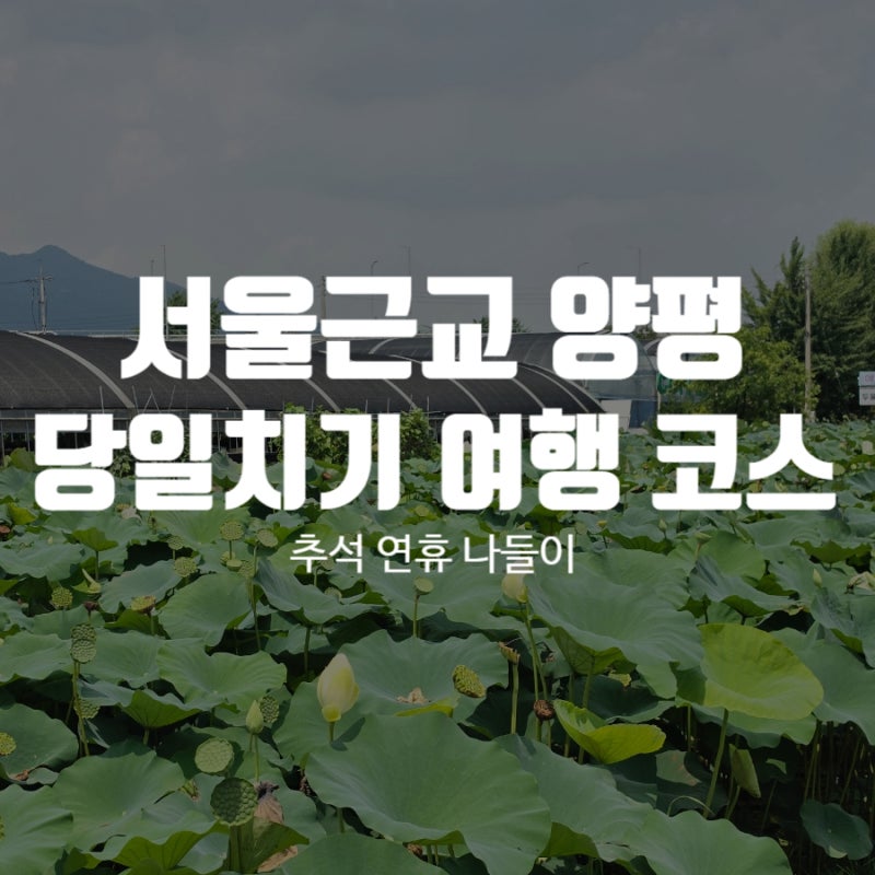 서울 근교 양평 뚜벅이 당일치기｜양수역·세미원·두물머리 하루 코스