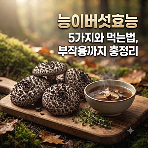 [1등 건강식품] 능이버섯효능 5가지와 먹는법, 부작용까지 총정리