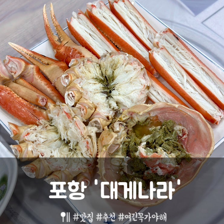 [포항] 호미곶 구룡포대게 맛집 '대게나라' 후기