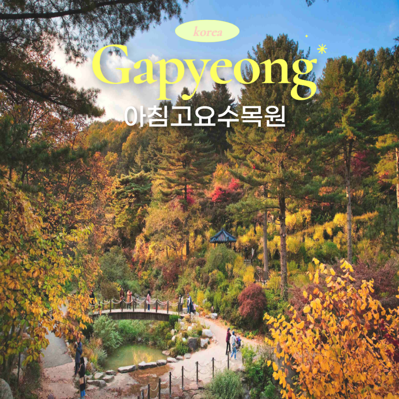 가평 가볼만한 곳 아이와 함께 여기 좋더라! 아침고요수목원 입장료, 동물원, 야간 개장 총정....